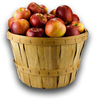 Koszyk jabłek